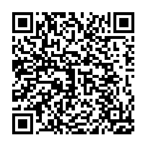 并给予他浏览和分析真人类帝国过去千年一切机密军事资料的权力二维码生成