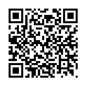 并被邀请在正义路上种植了一颗小树二维码生成