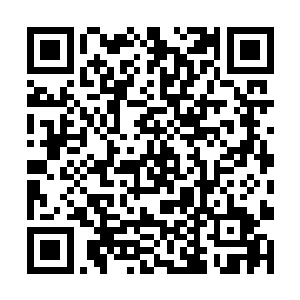 并让身后的奴仆在赵府的院子当中摆下一百多张桌子二维码生成