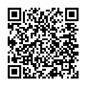 并贴心地在大龙河道草中丛给自家中路做了一个防守眼二维码生成