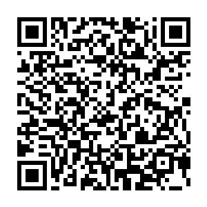 并随之给每一名报晓战队随扈弟子派发了由自己精血祭炼的弟子铭牌二维码生成