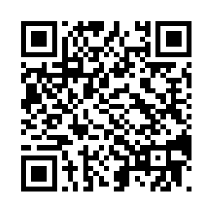 并非我们无法不愿意让其他的王者出现二维码生成