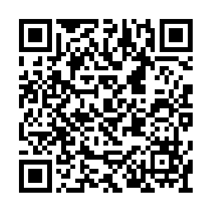 并非是蛮族这边几位巫圣大意将莫多给放了过来二维码生成