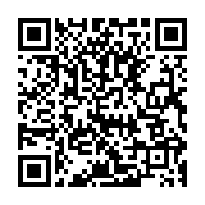 并顺势在这五行虫所组成的虫群之中硬生生的杀出了一条血路二维码生成