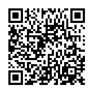 幸亏在战斗的时候巴尔赫并没有直接使用这件物品击杀自己二维码生成