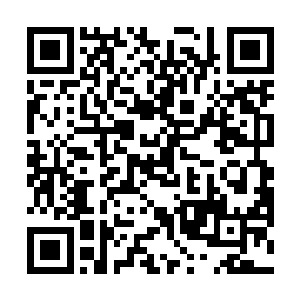 幸亏自己没有将全部希望都寄托在琴帝和一指没神身上二维码生成