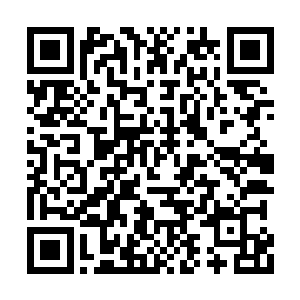 幸好吞噬了张嘉树老师脑域深处的神魂碎片之后二维码生成