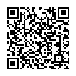 幸好大哥我当年得到本族一位大能老祖的灵念传承二维码生成