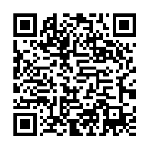 幸好孙靖飞带着的人和之前裴元灏安排在宜华宫的人都是精锐二维码生成