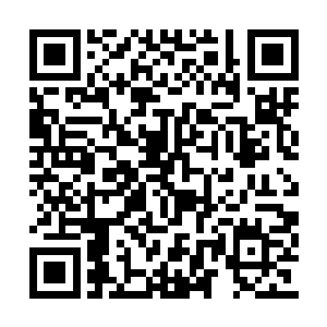 幸好巴克也没有用这些楔招试探考验下属的技巧二维码生成