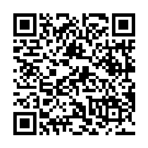 幸好有弗莱这个明白人阻止了崔勃的极度不长眼的行为二维码生成