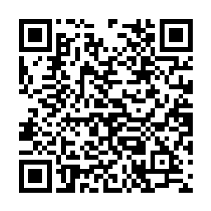 幸好那高个子男人又被我们这边的一个人给缠住了二维码生成