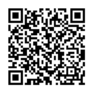 幸存下来所有星空异族和低等文明的潜能和欲望二维码生成