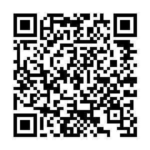 幸存下来的元始族也不会一致认为祖先做错了吧二维码生成