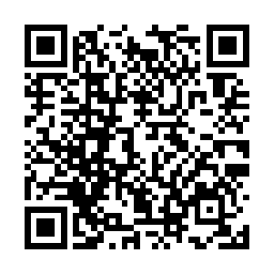 幸存下来的那些弟子才能够成为北地真正的佼佼者二维码生成