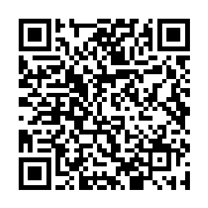 幸灾乐祸还有惊疑的目光不停在流墨墨等人身上巡视二维码生成