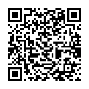 幸运的是梓箐修炼的仙术可以吸收任何属性值的能量二维码生成