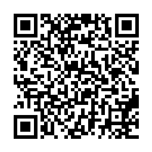 幻化为人形的白狐手捧着一大束娇艳欲滴的红色玫瑰二维码生成