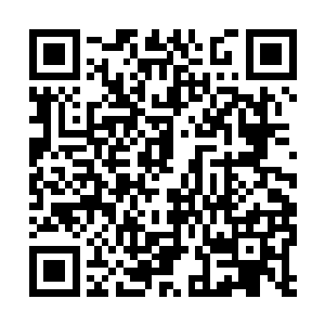 幻姬所凝聚出来的玉牌也被楚旬一拳给砸成了碎片二维码生成