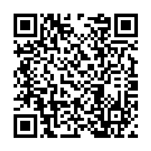 幻影之王的反手一击回身一击在场大多数人都知道二维码生成