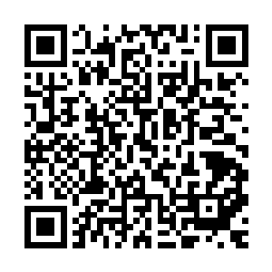 幻影骑士阶段每强化一次对神御主宰的飞行能力的增幅非常明显二维码生成