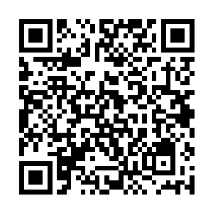 幻盟大长老就用其独特的方法变幻出来了杨柔和杨林二维码生成