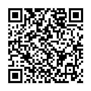 幻盟斩首行动小组的小组长还是下达了继续行动的命令二维码生成