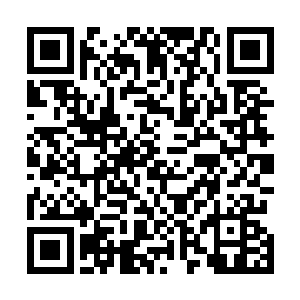 幻盟盟主向天明在和琴帝战斗的时候都不由的失神了一下二维码生成