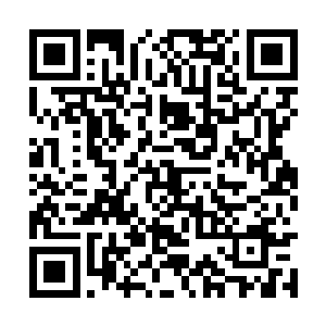 幼时两个小女孩在假山下钻来钻去的画面模模糊糊二维码生成