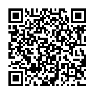 幽冥七星毒蚁对于这种小范围的活动也最是不在意的二维码生成