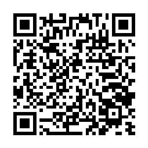 幽冥宫殿中隐藏的三十多名大君几乎同时传出一声惨叫二维码生成