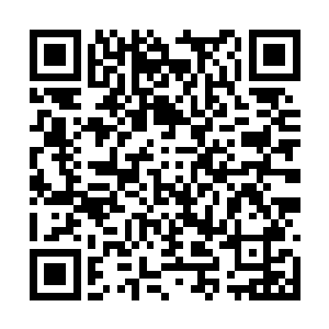 幽州城的刑捕和巡察们就抱着膀子在远处看着……二维码生成