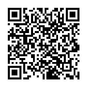 幽暗地域历史上赫赫有名的暴君的墓穴究竟有什么不同二维码生成