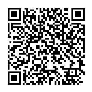 幽游天冥蛟一族的族人们看向青年的目光则都是带着一抹幸灾乐祸二维码生成