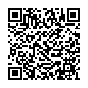 幽莱真是崇拜青辰殿下到了令人发指的地步了啊二维码生成