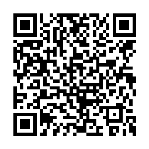 幽蓝色的力场和赤红色的护盾深度融合在了一起二维码生成