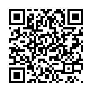 幽魂水母和鬼面银蚊部队盘旋的速度二维码生成