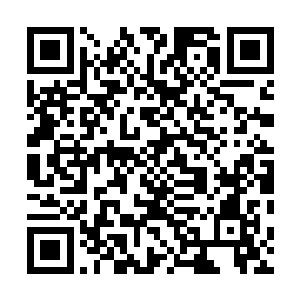 广南王府来的这三个人估计已经打听到了崔离的一些事情二维码生成