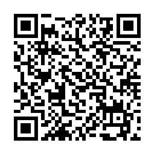 广南王府的苍穹供奉月阳神君看上了张承霄和张承靐二维码生成