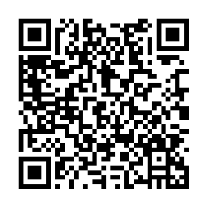 广场上生长着十几颗一人搂不过来的唐槐和银杏树二维码生成