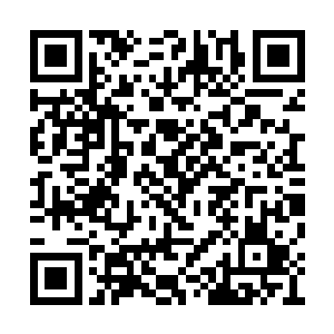 广场上的年轻俊杰们很多是第一次参加总宗会武二维码生成