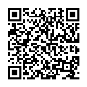 广场中黑压压的少年少女们在一阵快速移动的小骚乱后二维码生成