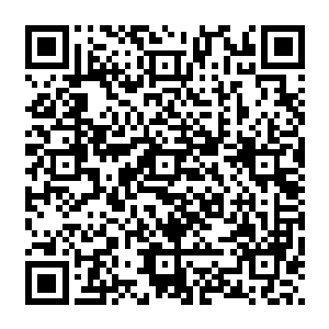 广大的小世界中法则灵化出的无数鱼只中谁也没发现多了一只不属于自己一个品种的一只二维码生成