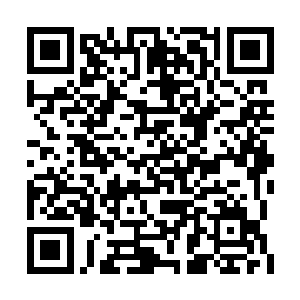 广月仙子两人见第一件拍卖的是九九归一元神丹二维码生成