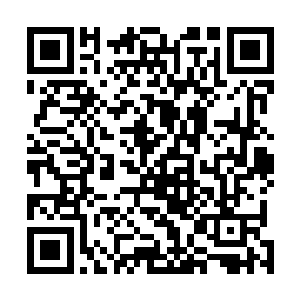 庄主大半夜不睡觉跑过来就为了问问聂云住的习惯不习惯二维码生成