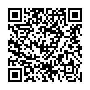 庄子里一眼过去看不到头的刚冒了绿油油的芽儿的麦子二维码生成