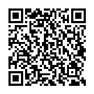 庄正合感到自己像是拍在一块坚不可摧的铁板上二维码生成