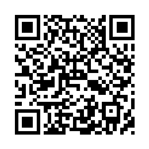 庄睿和邵康两人已经决定就今天进行比试二维码生成