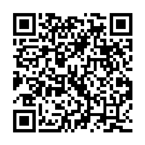 庄院主人则花重金采购一些初春时还不容易弄到的时新果品二维码生成