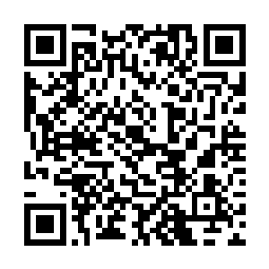 庆典公司的人早已经将花蓝和横幅之类的东西拉过来二维码生成